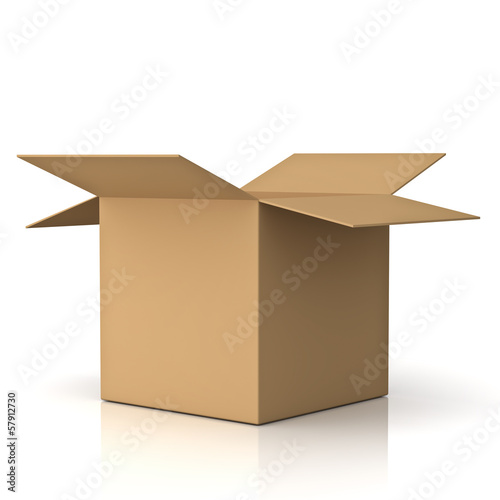 Blank cardboard box isolated on white background with reflection © masterzphotofo