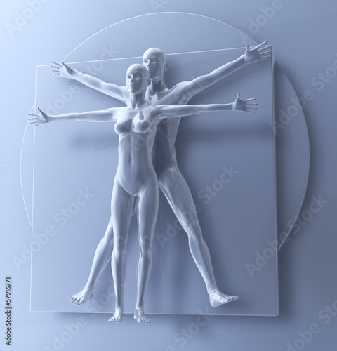 Leonardo Da Vinci Vetruvianischer Mann, Frau