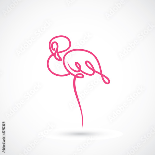 Flamingo © murphy81