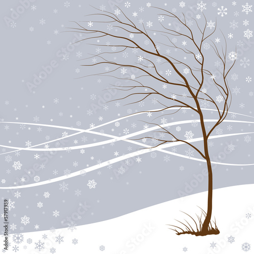 winter comes