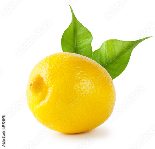 Tableau sur toile Sour lemon with leaves