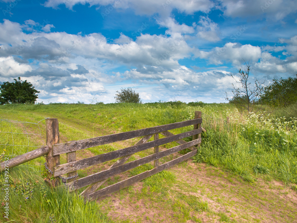 Fenced road in a summer landscape