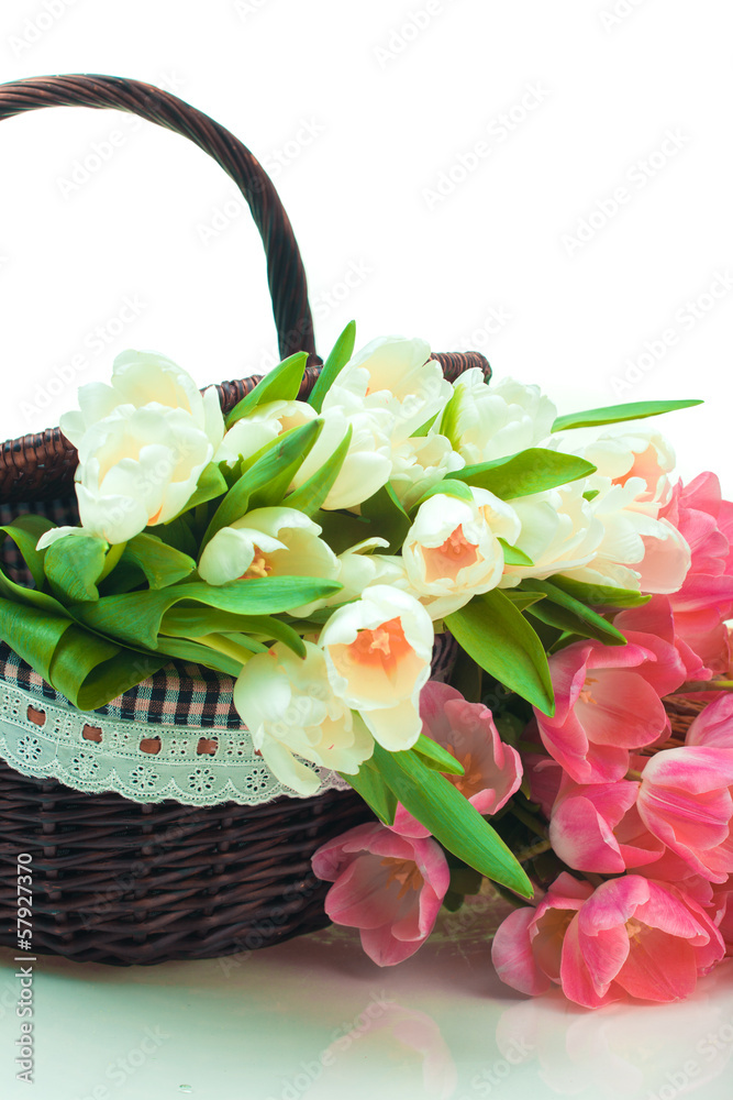 Beautiful tulips in basket Beautiful tulips in basket