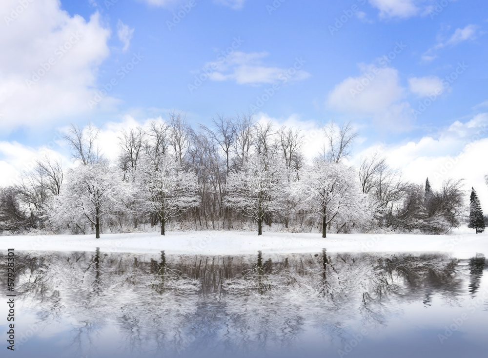 Winter Landscape Winter Landscape