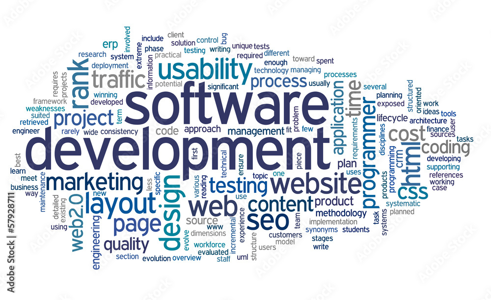 Obraz premium Software development concept in tag cloud