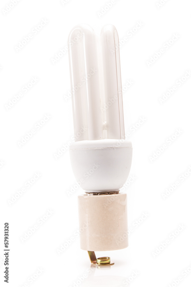 energy efficient light bulb isolated on white energy efficient light bulb isolated on white