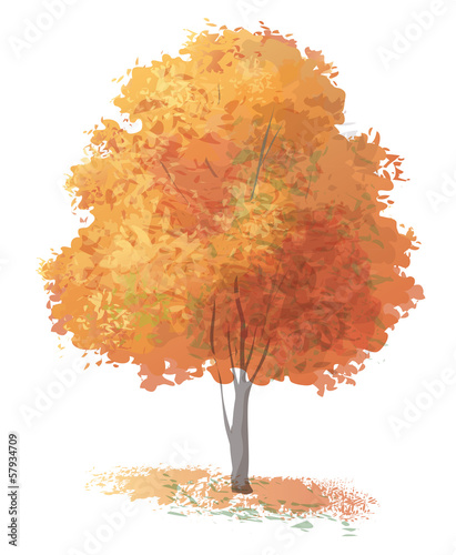 Vector autumnal tree.