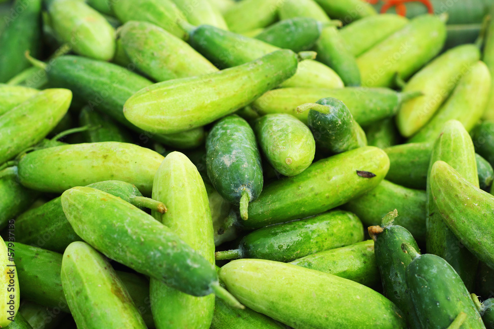 Fresh vegetables - cucumber in the market. Fresh vegetables - cucumber in the market.