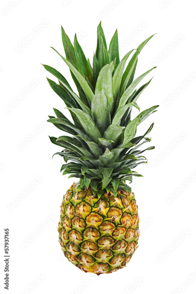 Ripe whole pineapple isolated on white background. Ripe whole pineapple isolated on white background.