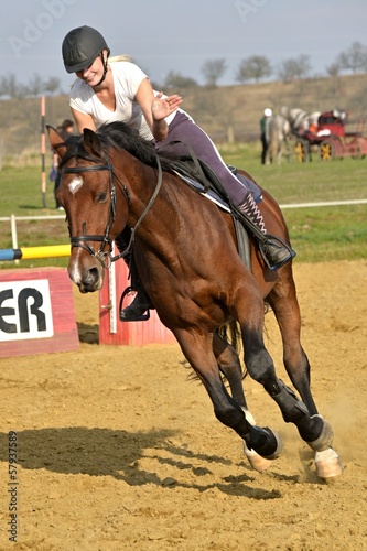 horse jumping © muro