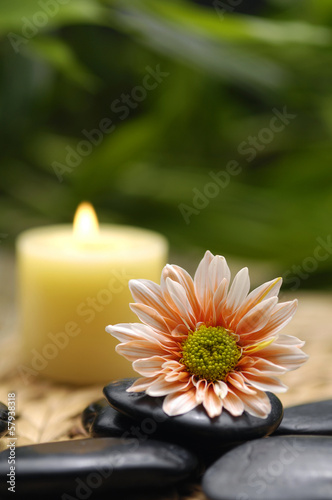 Yellow candle with gerberawith stones on green plant