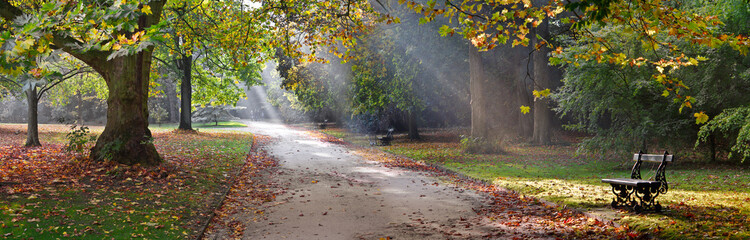 Fototapete Jahreszeiten Herbstlicher Weg durch bunten Park  © ARTENS