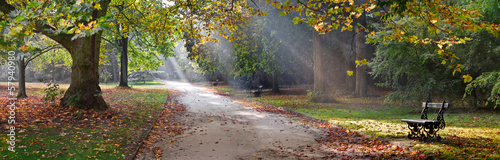 Fotografia Path in the autumn park. Autumn Landscape.