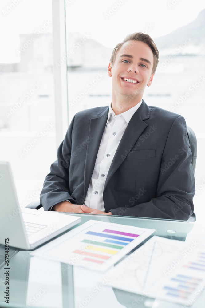 Smiling businessman with laptop sitting at office desk Smiling businessman with laptop sitting at office desk