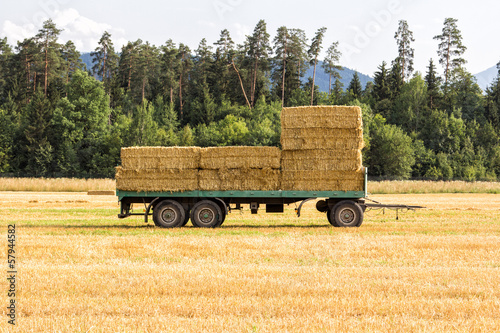 Fotografie Cart with hay on it