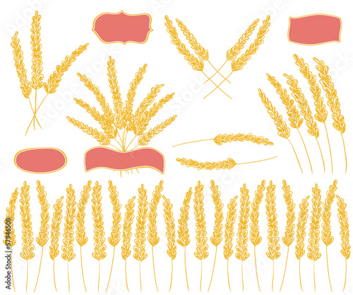 Golden grain design elements