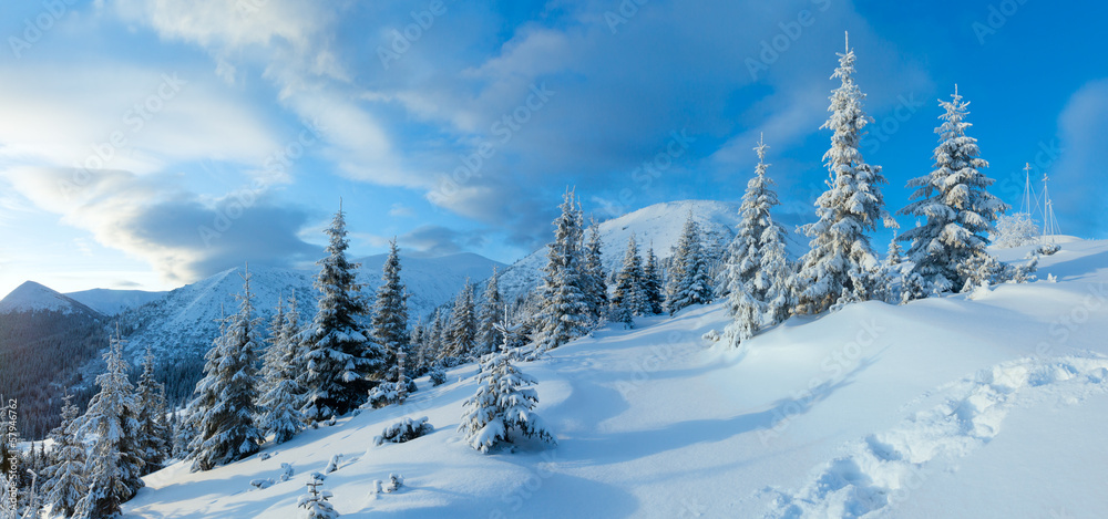 Morning winter mountain landscape (Carpathian, Ukraine).