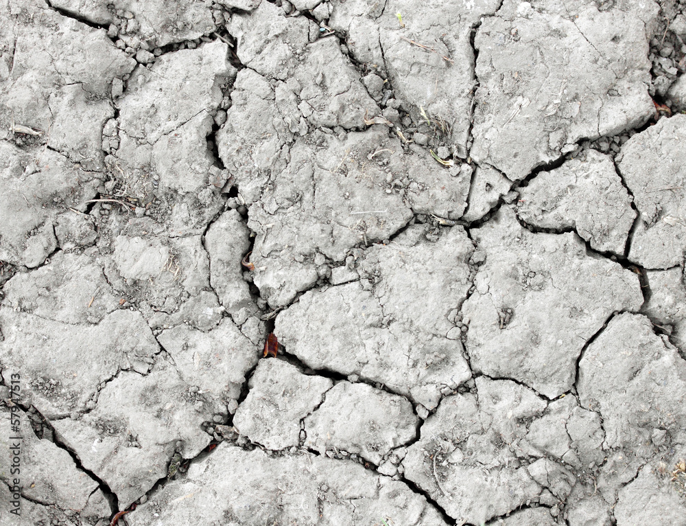 Fototapeta premium Dry cracked earth