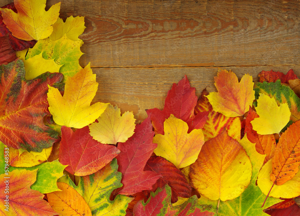 autumn leaves on wood