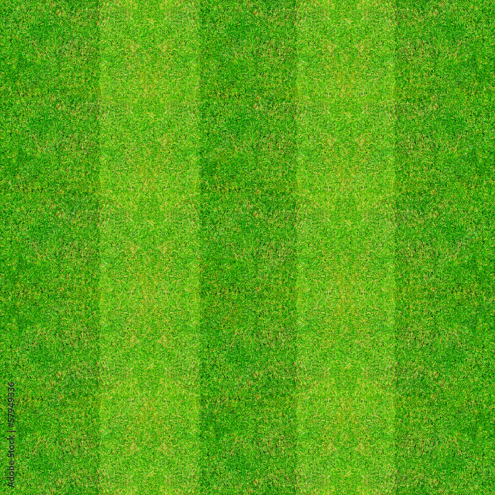 Naklejka green natural grass of a Football playground