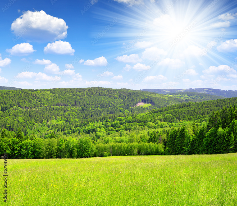 Fototapeta premium national park Sumava - Czech Republic