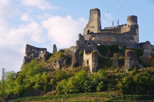Senftenberg Burg - Senftenberg castle 04