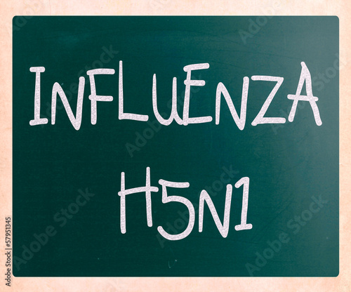 Fototapeta Naklejka Na Ścianę i Meble -  Images of the H5N1 Influenza Virus