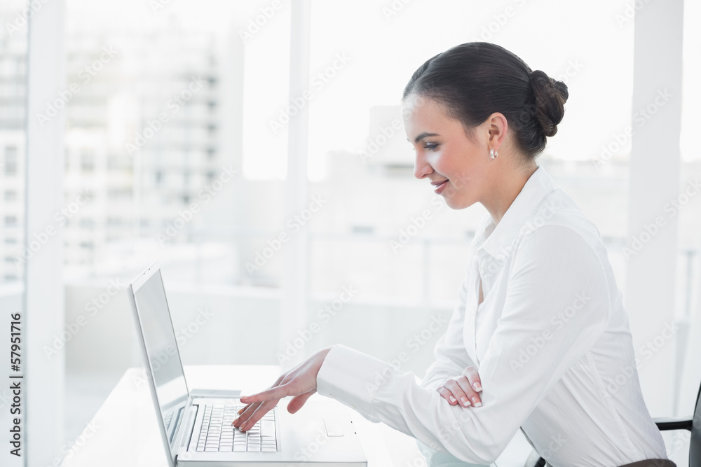 Smiling businesswoman using laptop at desk Smiling businesswoman using laptop at desk