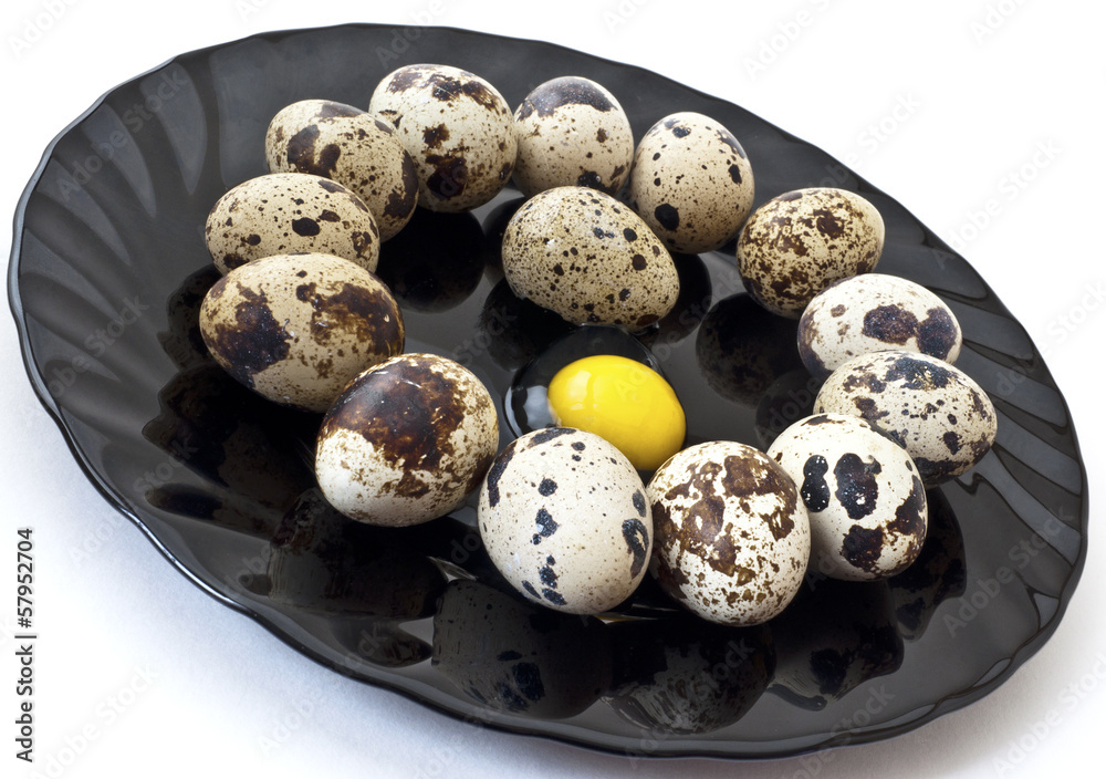 quail eggs on a plate isolated