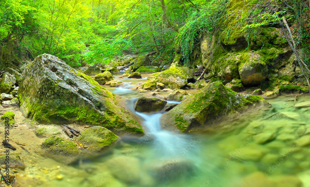 Canyon in the summer time. Beautiful landscape Canyon in the summer time. Beautiful landscape