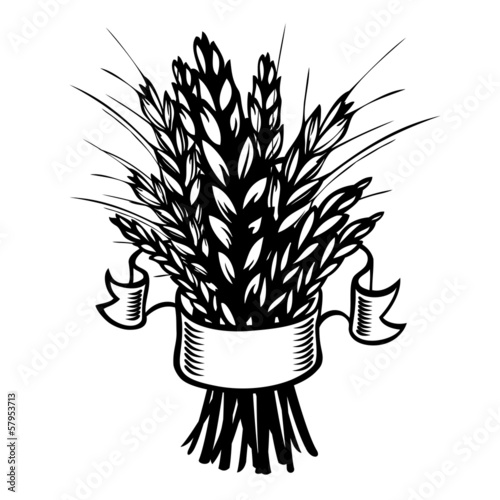 Rye, wheat