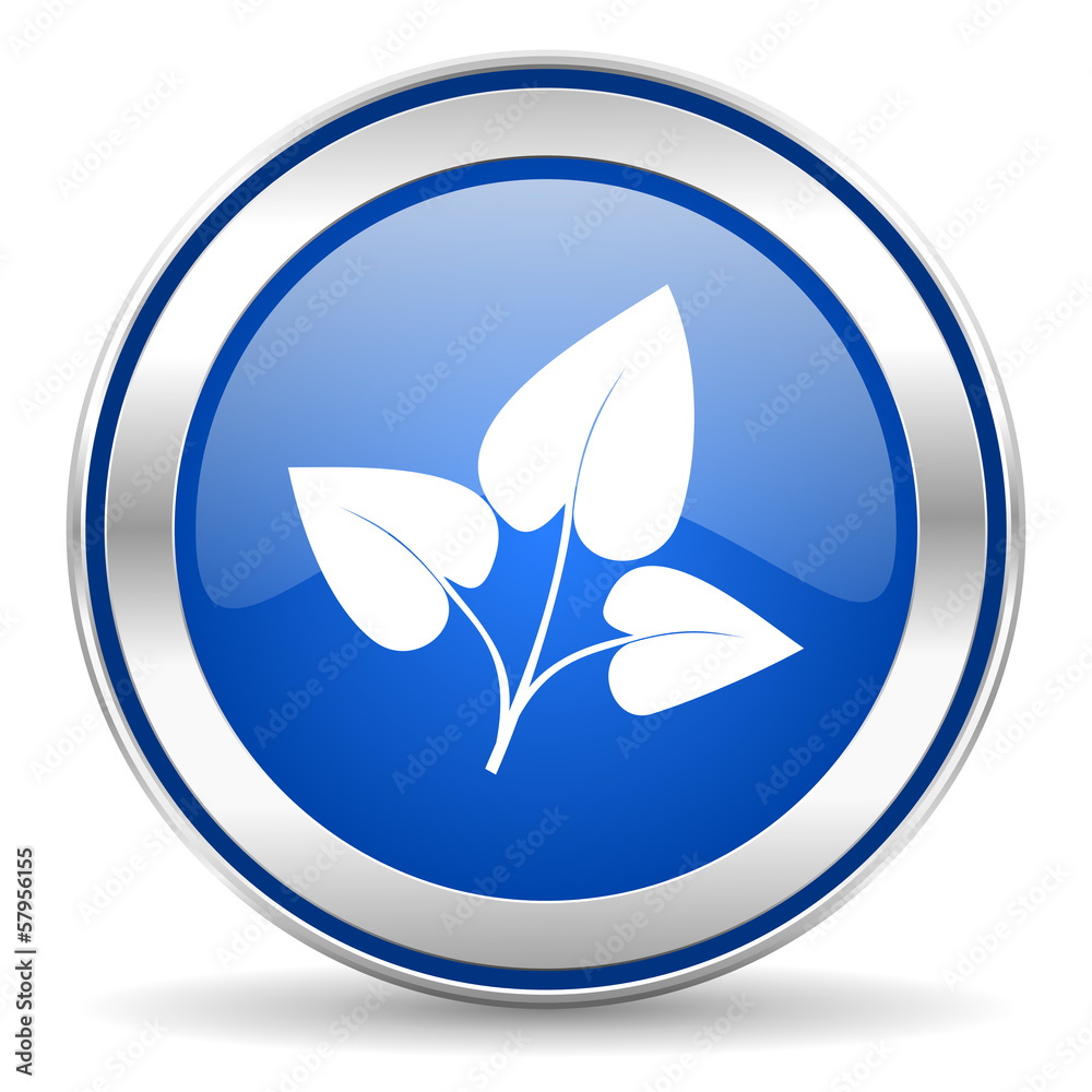 leaf icon leaf icon