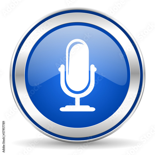 microphone icon