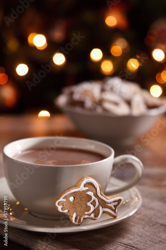 A cup of hot chocolate with gingerbread