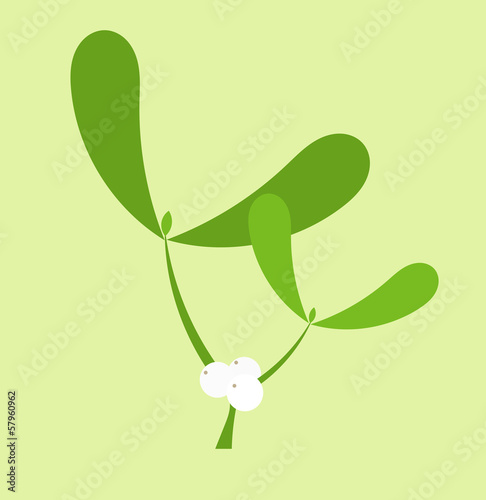 Mistletoe