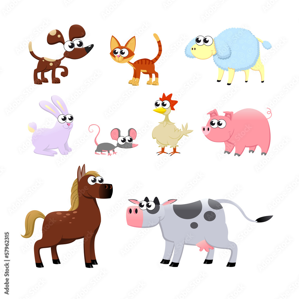 Fototapeta premium Farm animals.
