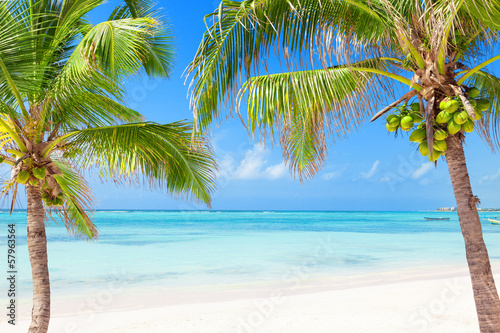 Fototapeta Naklejka Na Ścianę i Meble -  Tropical beach with coconut palms and transparent waters