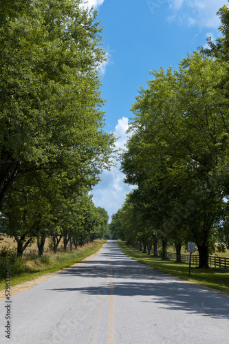 country road