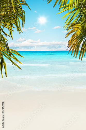 Fototapeta Naklejka Na Ścianę i Meble -  Stunning Caribbean beach with transparent waters