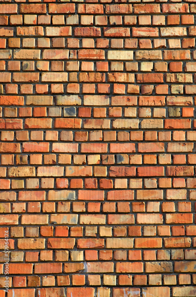 Fototapeta premium Brick wall texture