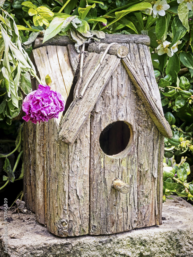 bird house bird house