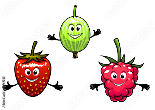 Gooseberry, raspberry and strawberry berries