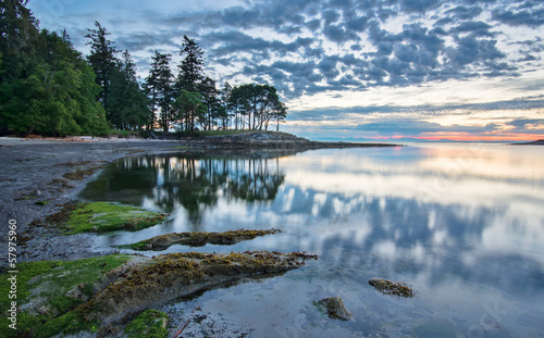Coast at Sunrise with Trees Reflected