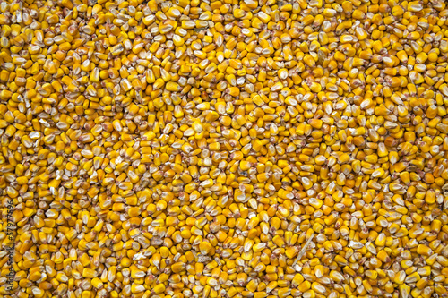 Texture of corn grains © gio_tto