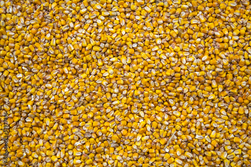 Texture of corn grains