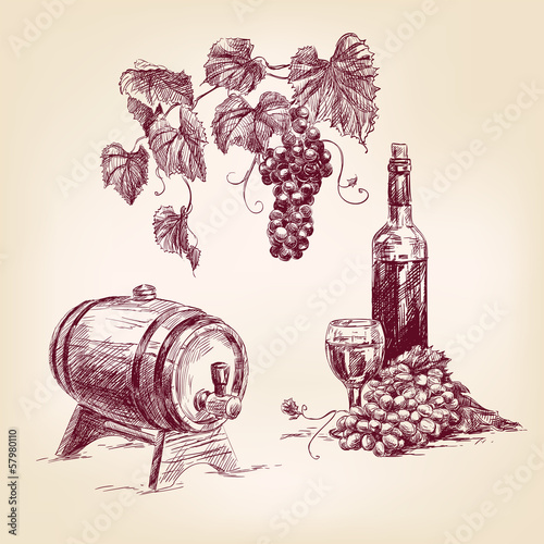 wine collection hand drawn vintage  vector illustration