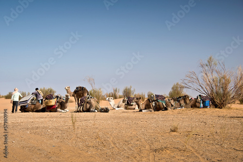 Méharée dans le désert du Sahara - Tunisie © Delphotostock