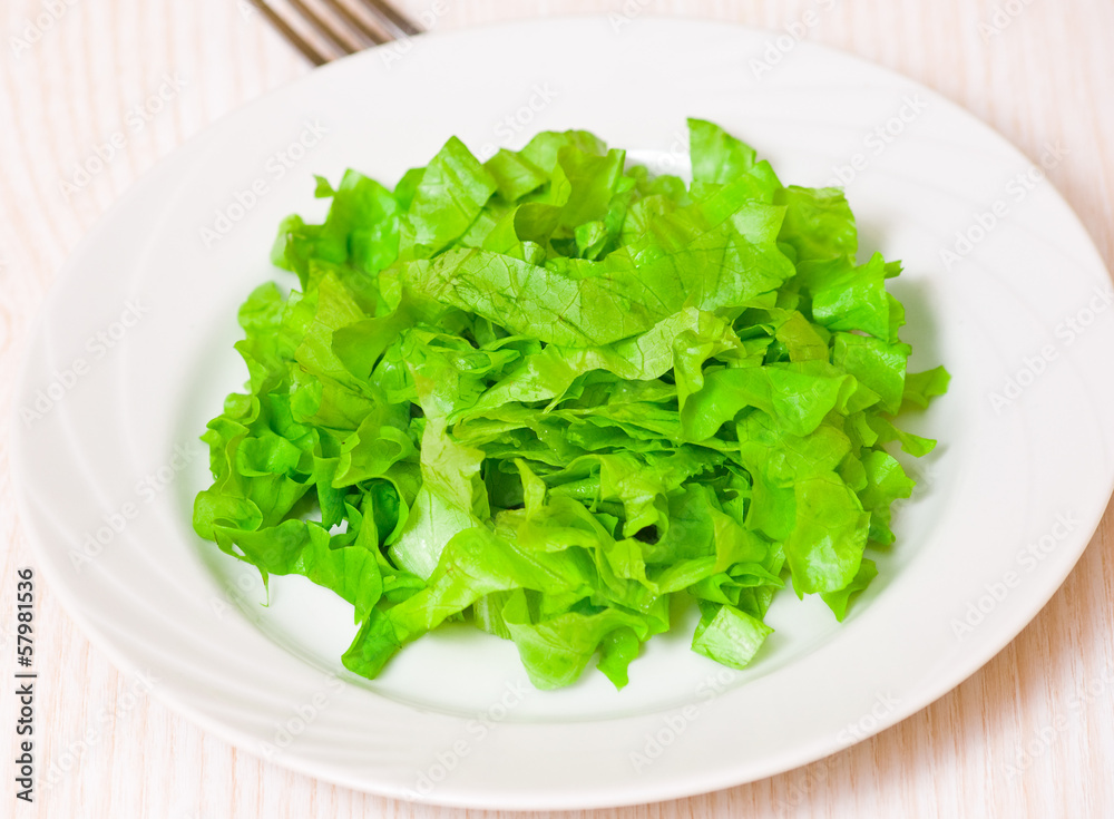fresh green lettuce leaves on white dish fresh green lettuce leaves on white dish
