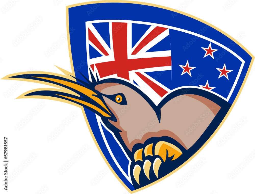 Fototapeta Kiwi Bird New Zealand Flag Shield Retro