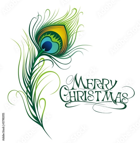 Vector isolated peacock feather.Merry Christmas